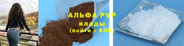 СК Белокуриха