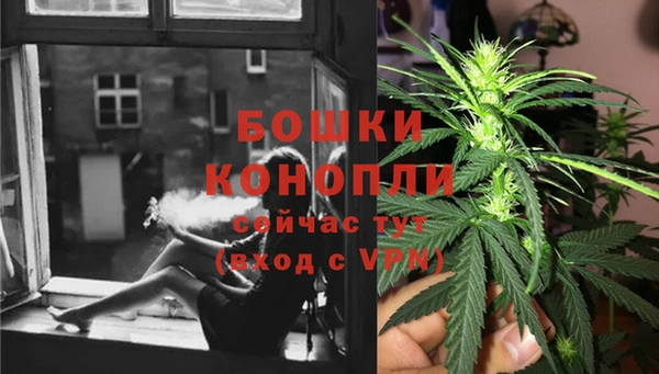 каннабис Беломорск