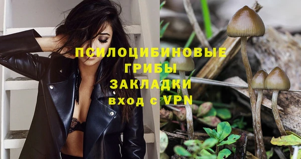 mdpv Баксан